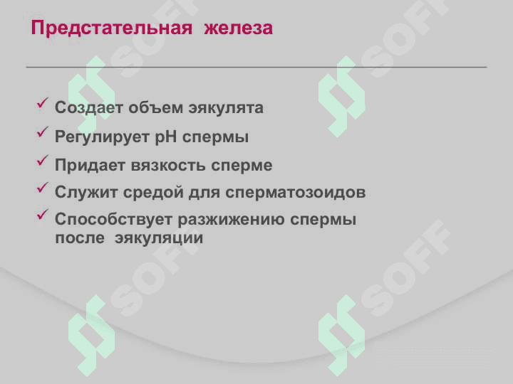 Доброкачественная гиперплазия предстательной железы ДГПЖ 7