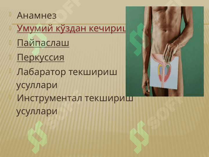 Urologik kasalliklarni tekshirish usullari . Урологик касалликларни текшириш усуллари 2