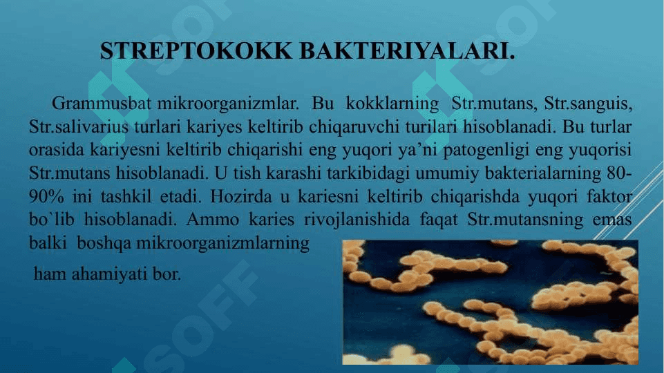 Kariyes kelib chiqishida mikroorganizmlarning ro’li . O’g’iz bo’shlig’ida kariyesogen muhit 7