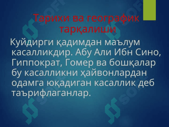 Kuydirgi 4