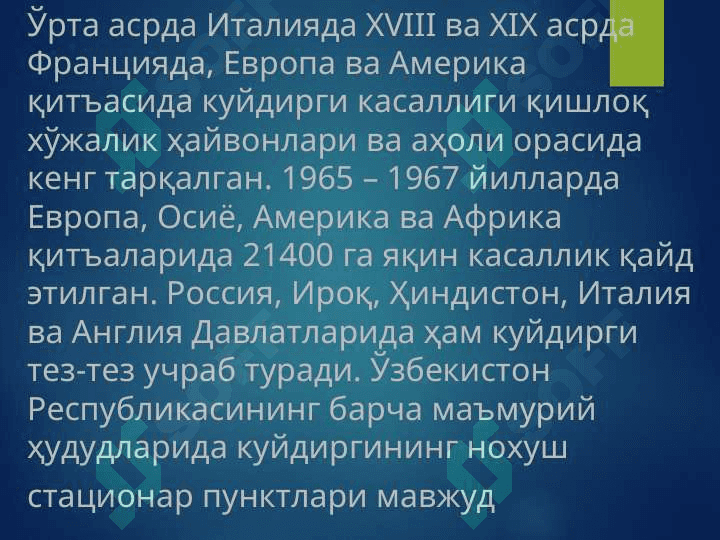 Kuydirgi 5
