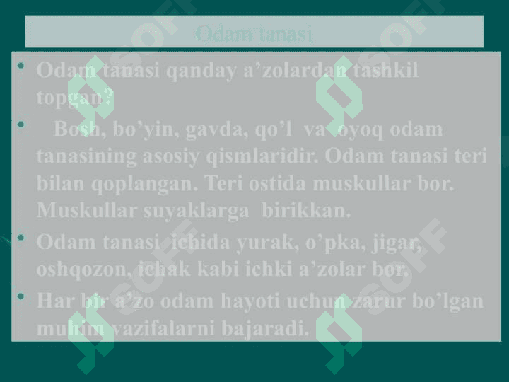 Odamning tuzilishi 2