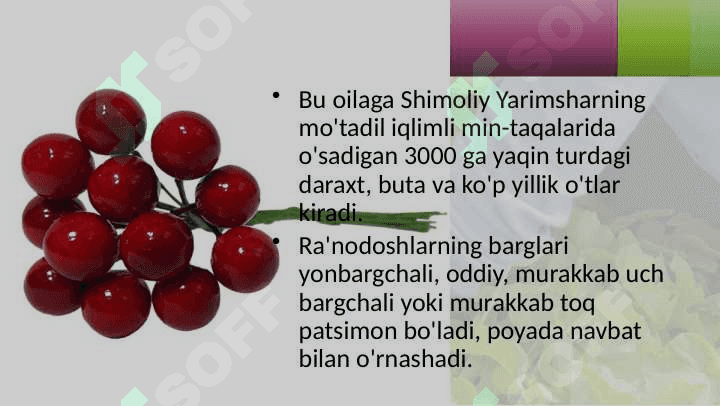 RA'NODOSHLAR OILASI 3