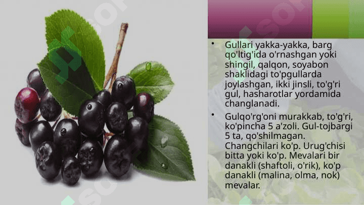 RA'NODOSHLAR OILASI 4