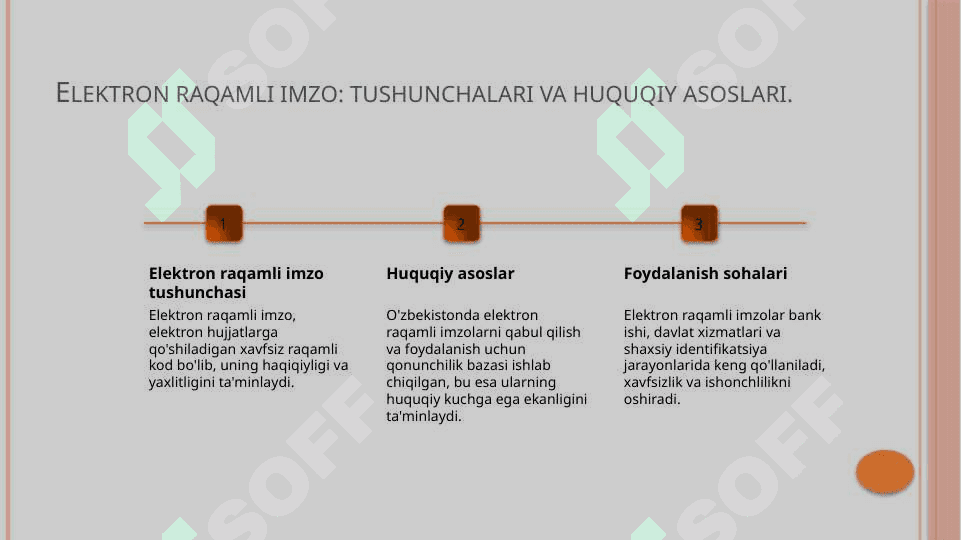 Elektron raqamli imzo 3