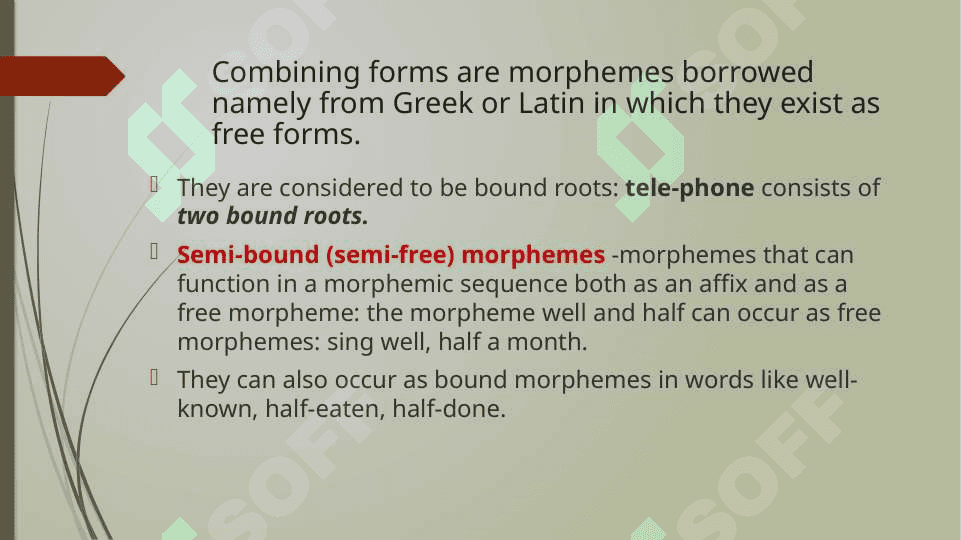 The morphemic structure of the English language 5