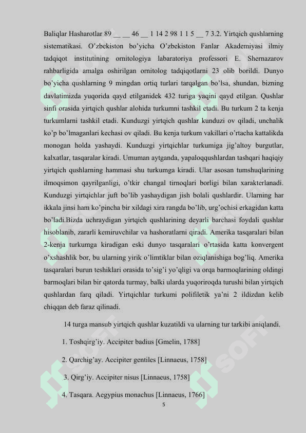 Yirtqichlar turkumi muhim vakillari, tarqalishi va ekologiyasi 5