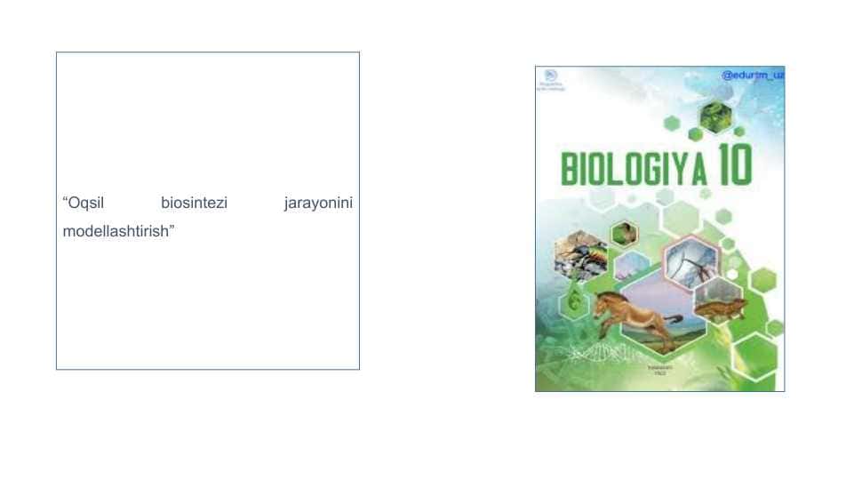 Oqsil biosintezi jarayonini modellashtirish” 1