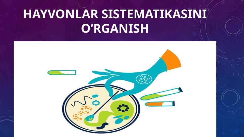 HAYVONLAR SISTEMATIKASINI O‘RGANISH