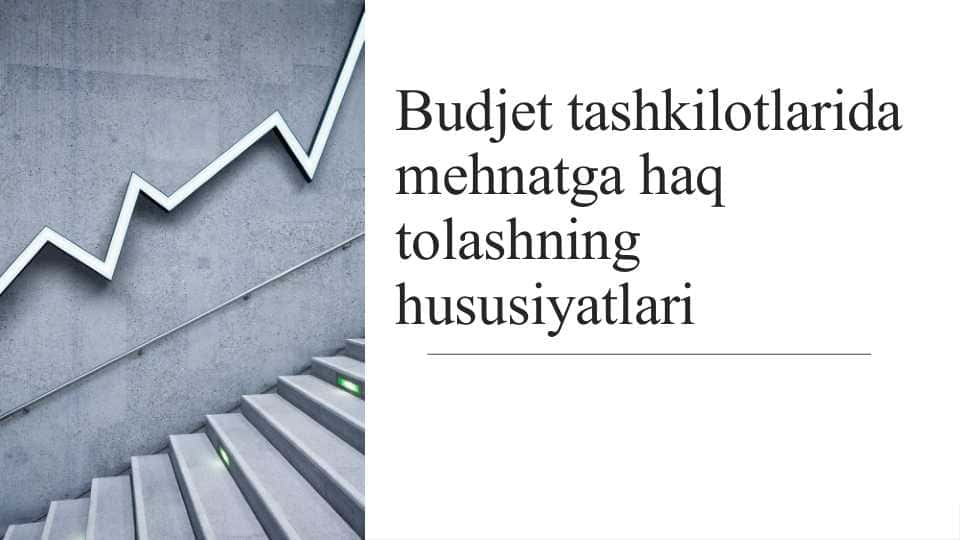 Budjet tashkilotlarida  mehnatga haq tolashning hususiyatlari 1