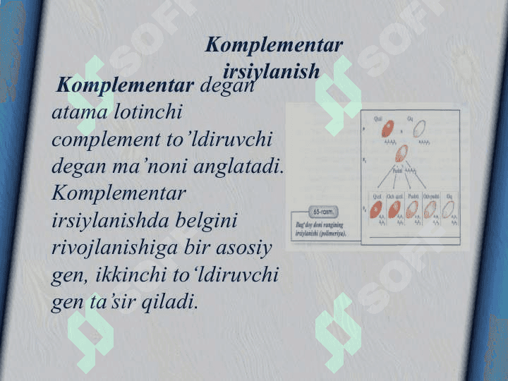 Allel bo’lmagan genlarning o’zaro ta’sirida belgilarning rivojlanishi 2