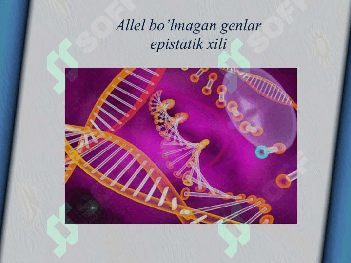 Allel bo’lmagan genlarning o’zaro ta’sirida belgilarning rivojlanishi 4