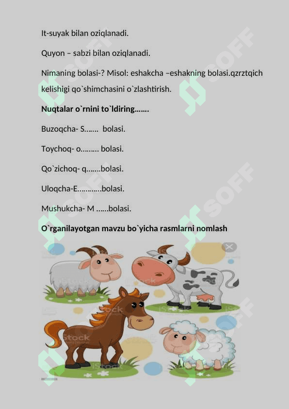 uy hayvonlari 2