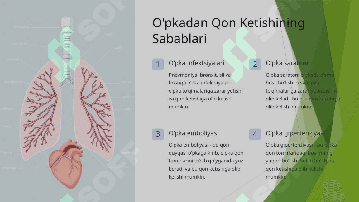 O'pkadan Qon Ketishi 2