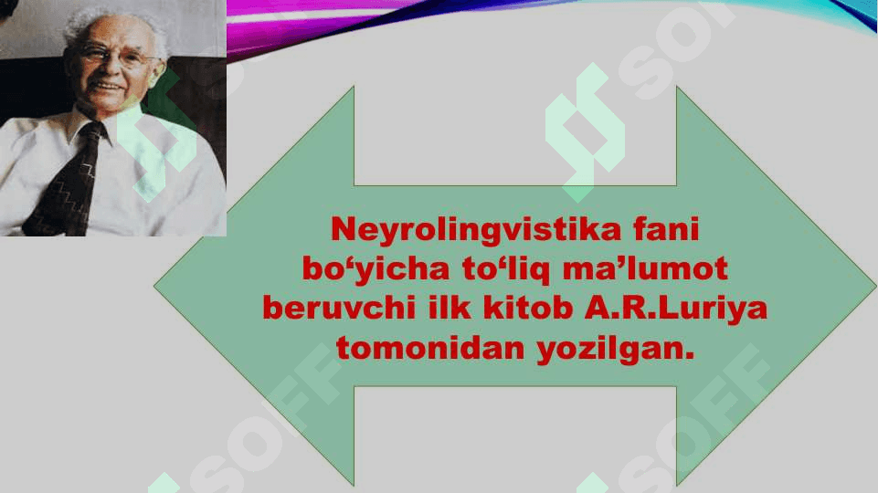 Neyrolingvistika va uning oʻrganilish obyekti 6