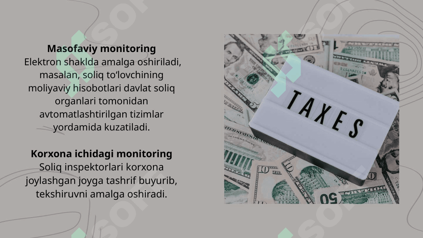 Soliq monitoringi 3