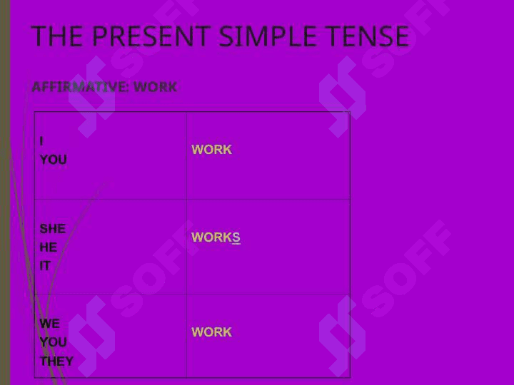 THE PRESENT SIMPLE TENSE(Affirmative 2