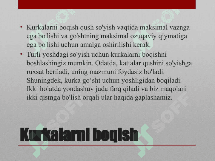 KURKALARNI OZIQLANTIRISH TEXNOLOGIYALARI 2