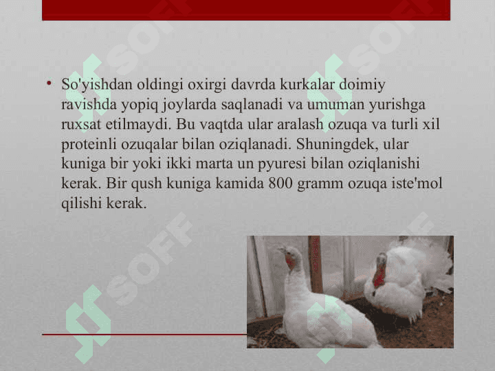 KURKALARNI OZIQLANTIRISH TEXNOLOGIYALARI 4