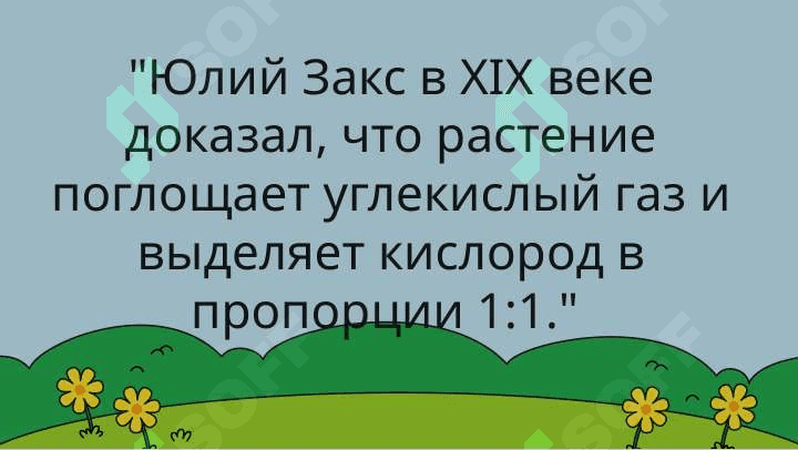 Как растение вдыхают и выдыхают воздух (открытие Юлия Закса) 2