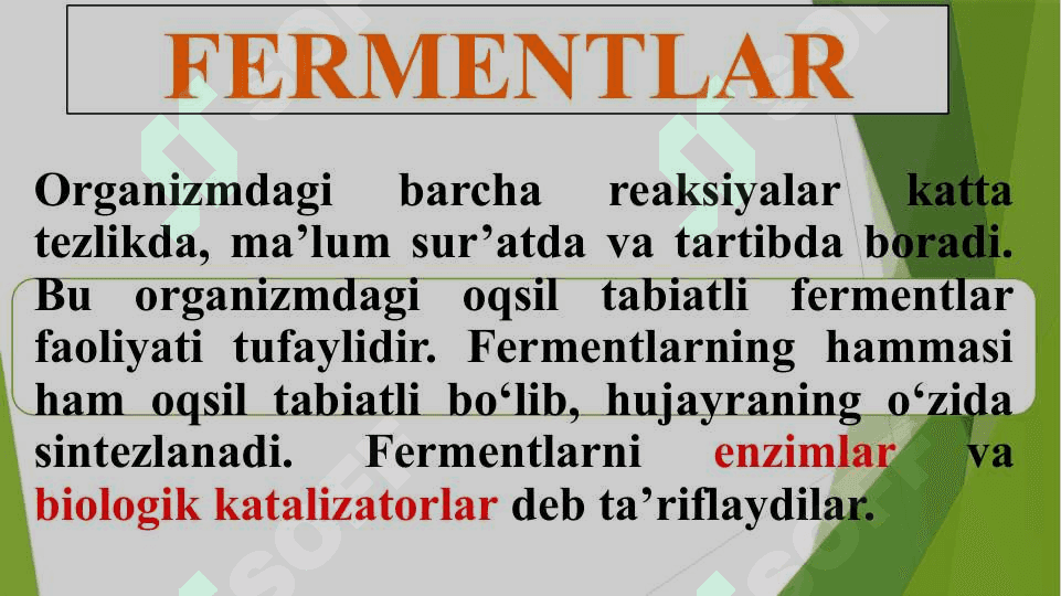 FERMENTLAR MUHANDISLIGI 3