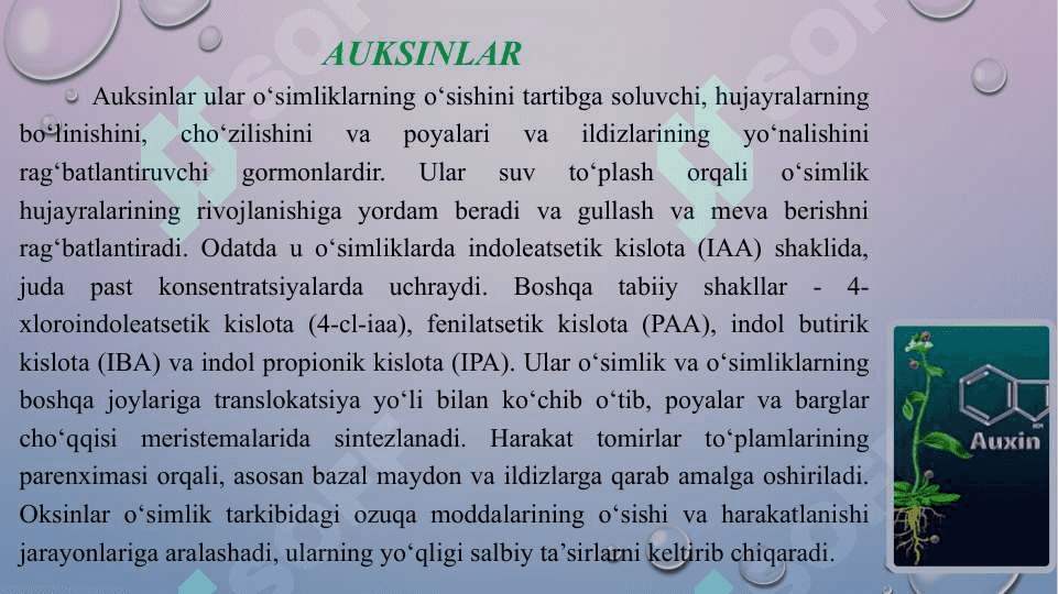 Fitogormonlar klassifikatsiyasi va ularning hususiyatlari 4
