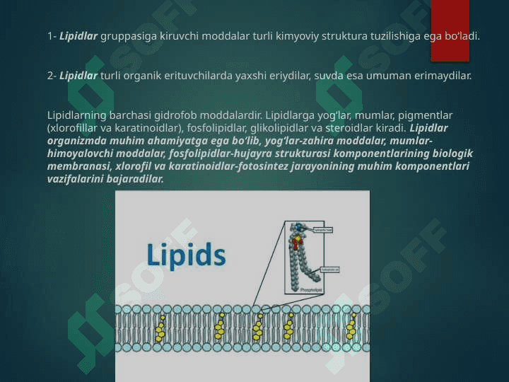 Lipidlar almashinuvi. Lipidlarning katabolizmi. Lipaza, fosfolipaza kabi lipolitik fermentlar. Yog’lar emulsiyasi, o’t pufagidagi safro kislotalarining roli 3