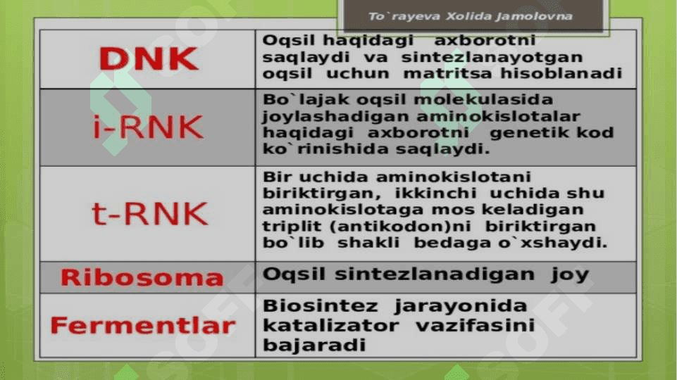RNK turlari va uning oqsil biosintezidagi roliRNK turlari va uning oqsil biosintezidagi roli 5