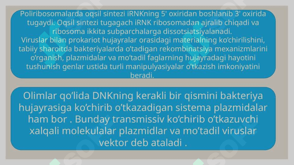 RNK turlari va uning oqsil biosintezidagi roliRNK turlari va uning oqsil biosintezidagi roli 8