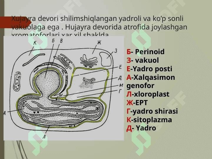 Suv o’tlari biotexnologiyasi 5