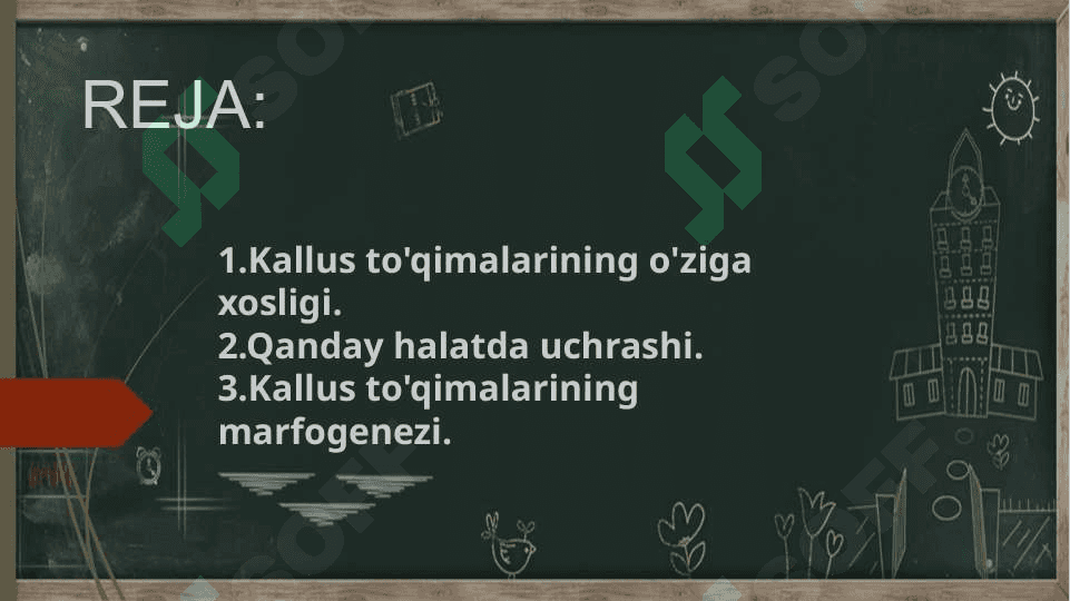 Kallus to'qima kulturalari 2