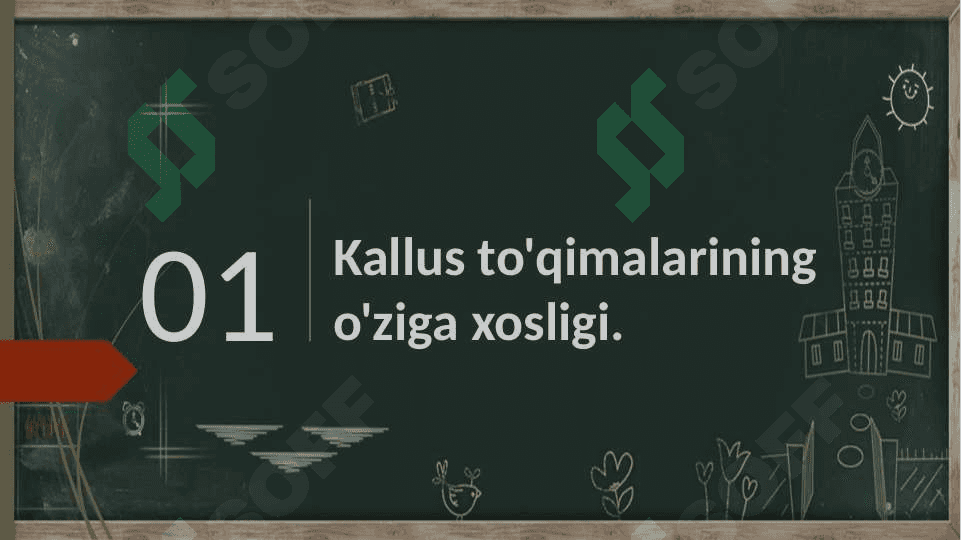 Kallus to'qima kulturalari 3