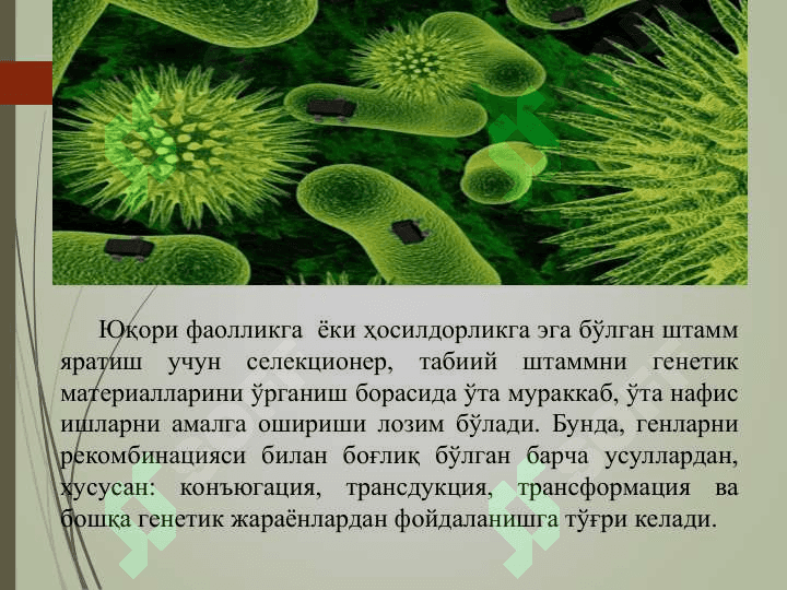 Биотехнологияда ген мухандислиги 7