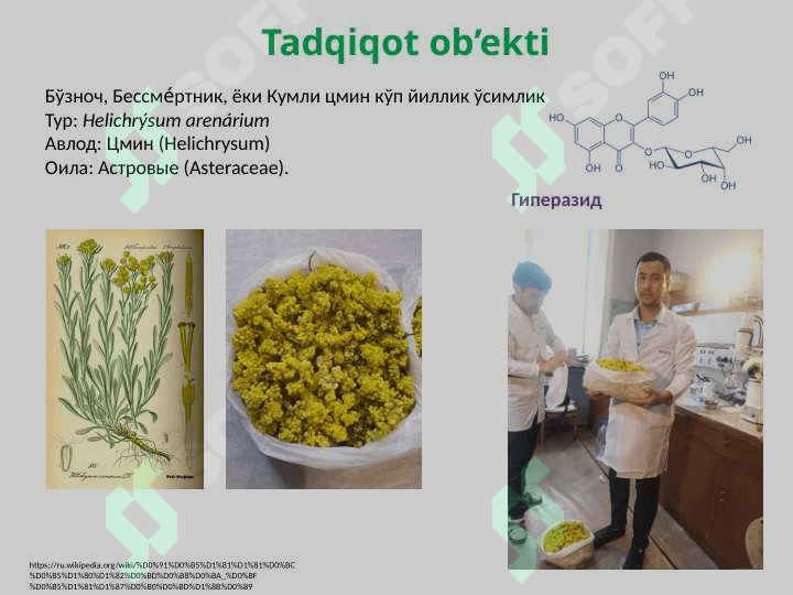 Доривор ўсимликлардан биофаол моддалар олиш 4