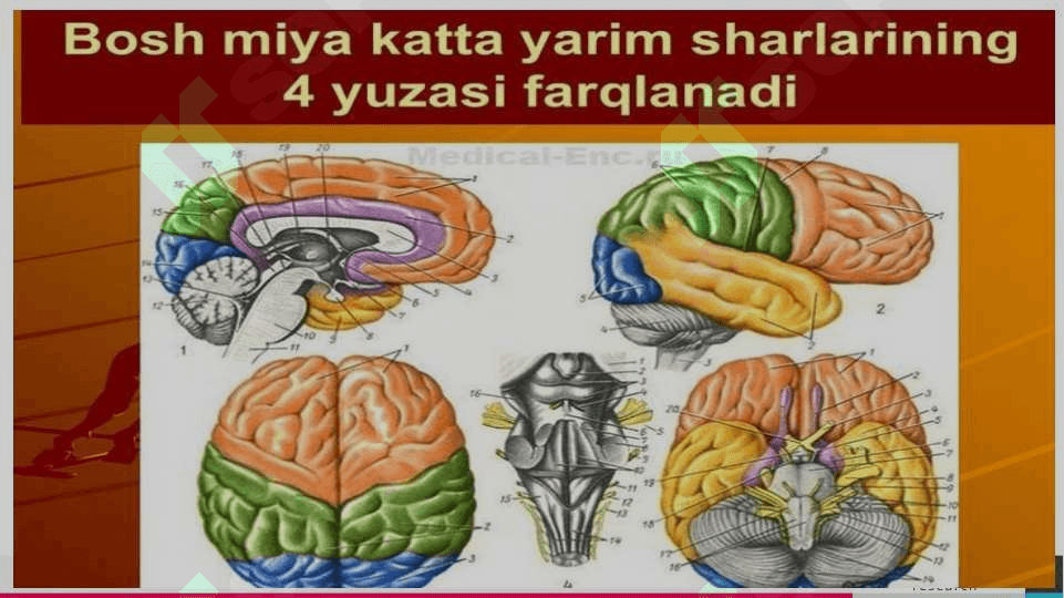 Inklyuziv ta’limning  psixalogik –pedagogik metadalogik asoslari 7