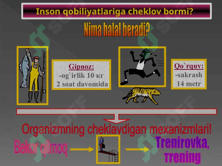 EVOLYUTSIYA 7