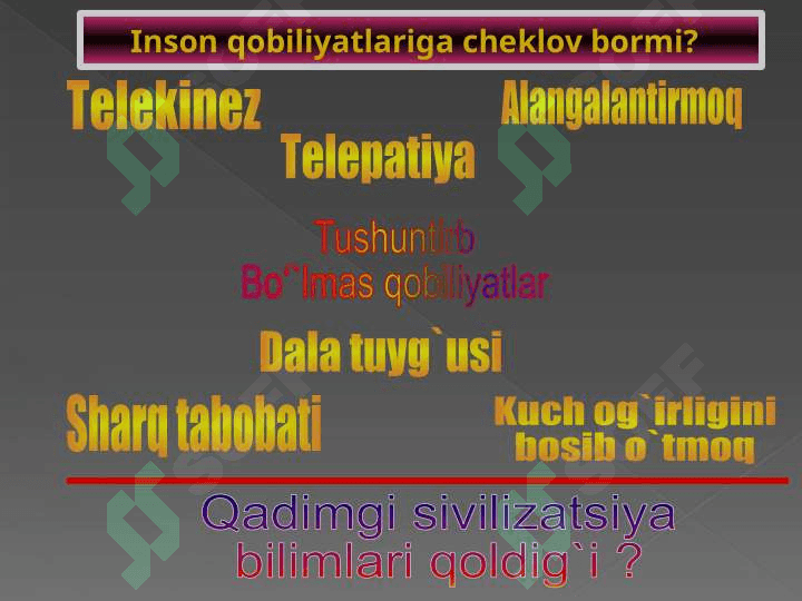 EVOLYUTSIYA 8