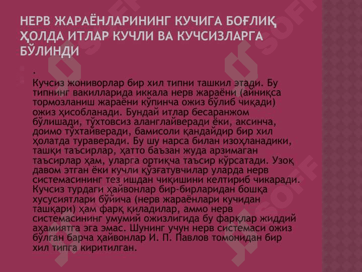 oLiy Nerv Faoliyatining Yosh Xususiyatlari 4