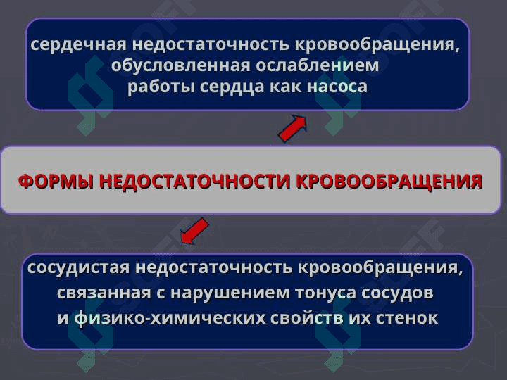 Патология сердечно-сосудистой системы.Сердечная недостаточность. Нарушения ритма.Пороки сердца. Гипертоническая болезнь. Ишемия.Аритмия, этиология, патогенез. Симптоматическая гипертензия.»  «Патология общего кровообращения. ИБС. Инфаркт миокарда. Сердечная недостаточность. Аритмиии. Гипертоническая болезнь.» 6