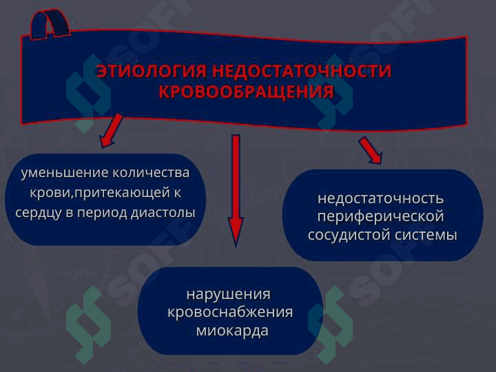 Патология сердечно-сосудистой системы.Сердечная недостаточность. Нарушения ритма.Пороки сердца. Гипертоническая болезнь. Ишемия.Аритмия, этиология, патогенез. Симптоматическая гипертензия.»  «Патология общего кровообращения. ИБС. Инфаркт миокарда. Сердечная недостаточность. Аритмиии. Гипертоническая болезнь.» 7