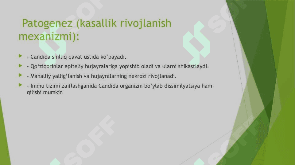 BOLALAR OG'IZ BO'SHLIG'IDA KANDIDOZ 4