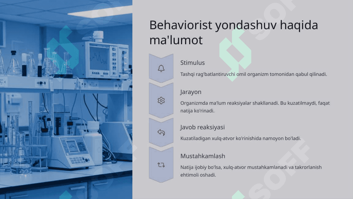 Psixik rivojlanish bo'yicha asosiy yondashuvlar 4