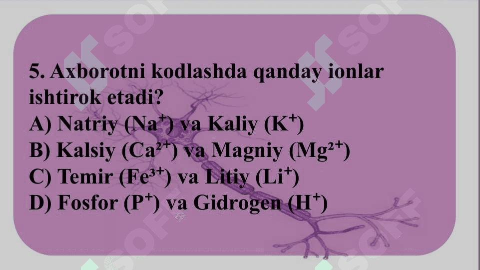 Informatsiyani kodlash mexanizmlari 7