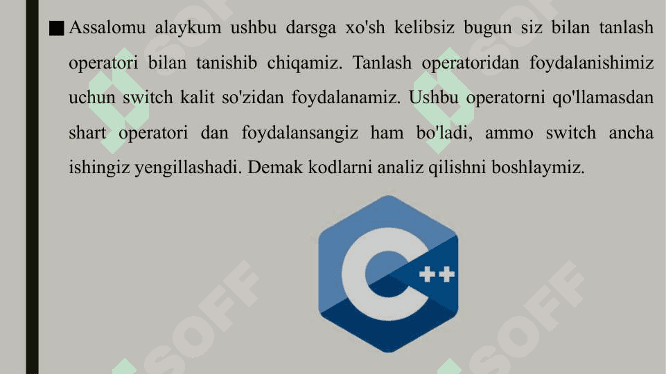 C++ Switch, case ustida amallar 3