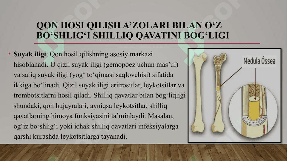 Qon hosi qilish a’zolari bilan o‘z bo‘shlig‘i shilliq qavatini bog‘ligi. Organizmning ekstravazal suyuqliklari. Qon pigmentlari. Birlamchi va ikkilamchi antitoksinlar, stomatologiyada qo‘llaniladigan temir almashtirish. 3
