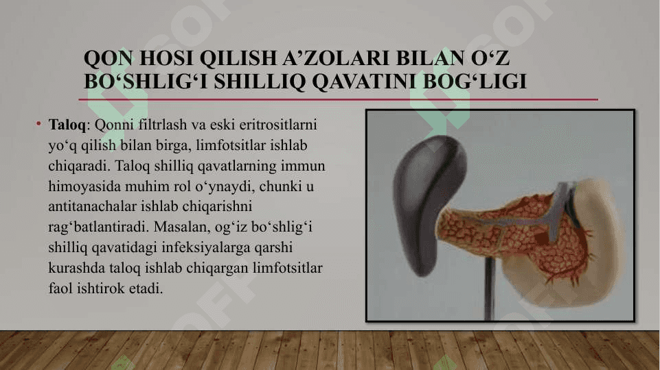 Qon hosi qilish a’zolari bilan o‘z bo‘shlig‘i shilliq qavatini bog‘ligi. Organizmning ekstravazal suyuqliklari. Qon pigmentlari. Birlamchi va ikkilamchi antitoksinlar, stomatologiyada qo‘llaniladigan temir almashtirish. 4