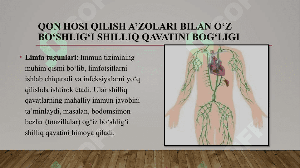 Qon hosi qilish a’zolari bilan o‘z bo‘shlig‘i shilliq qavatini bog‘ligi. Organizmning ekstravazal suyuqliklari. Qon pigmentlari. Birlamchi va ikkilamchi antitoksinlar, stomatologiyada qo‘llaniladigan temir almashtirish. 5