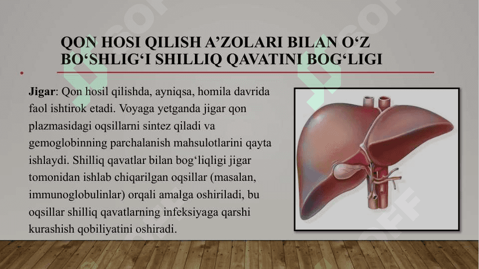 Qon hosi qilish a’zolari bilan o‘z bo‘shlig‘i shilliq qavatini bog‘ligi. Organizmning ekstravazal suyuqliklari. Qon pigmentlari. Birlamchi va ikkilamchi antitoksinlar, stomatologiyada qo‘llaniladigan temir almashtirish. 6