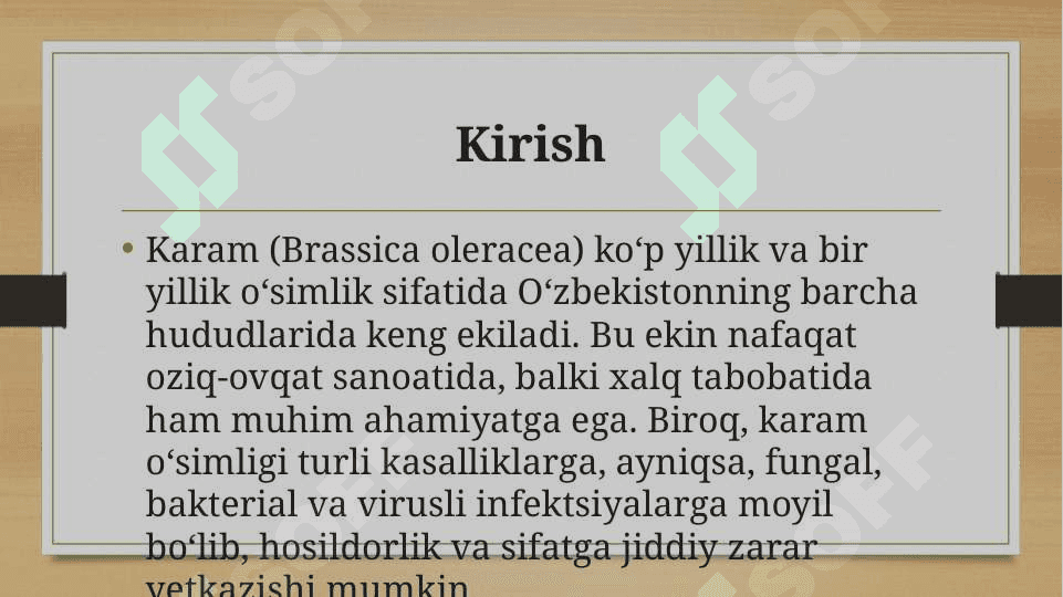 Karam kasalliklari 3