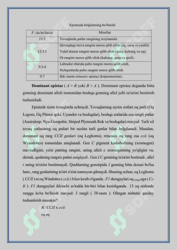 Epistaz tasir 3